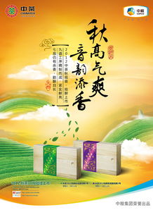 廣告設計 藝術與商業的完美融合